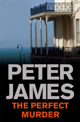 Peter James - Perfect Murder (Quick Reads)