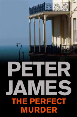 Peter James Perfect Murder (Quick Reads)