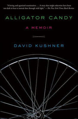 David Kushner - The Players Ball: A Genius, a Con Man, and the Secret History of the Internet’s Rise