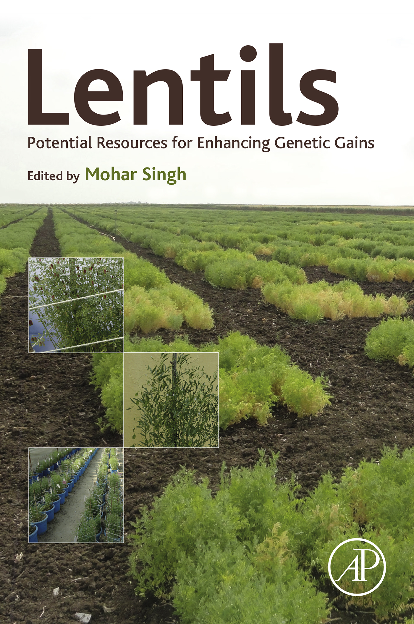 Lentils Potential Resources for Enhancing Genetic Gains First Edition Mohar - photo 1