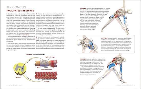 FIGURE 1 The Key Concepts show you how to apply biomechanics and physiology to - photo 3