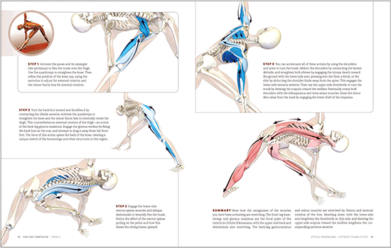 FIGURE 4 Each pose comes with a series of steps for engaging the muscles that - photo 6