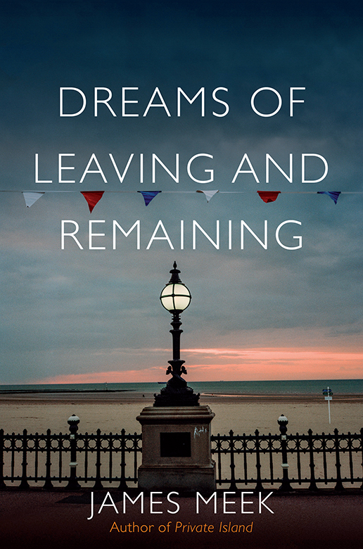 DREAMS OF LEAVING AND REMAINING Also by James Meek NOVELS McFarlane Boils the - photo 1