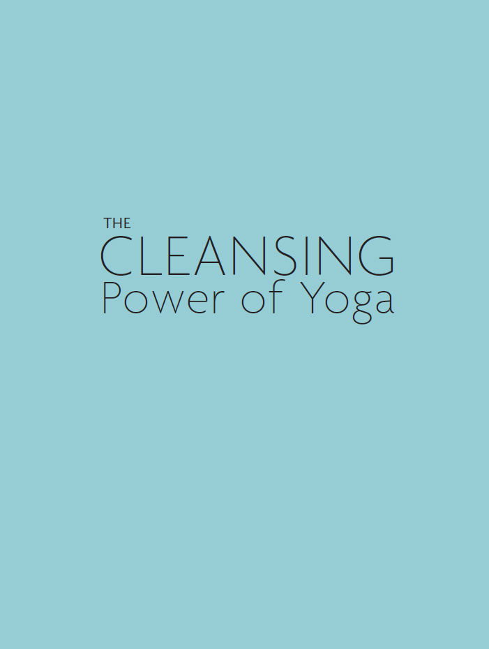 The Cleansing Power of Yoga Swami Saradananda First published in the UK and - photo 1