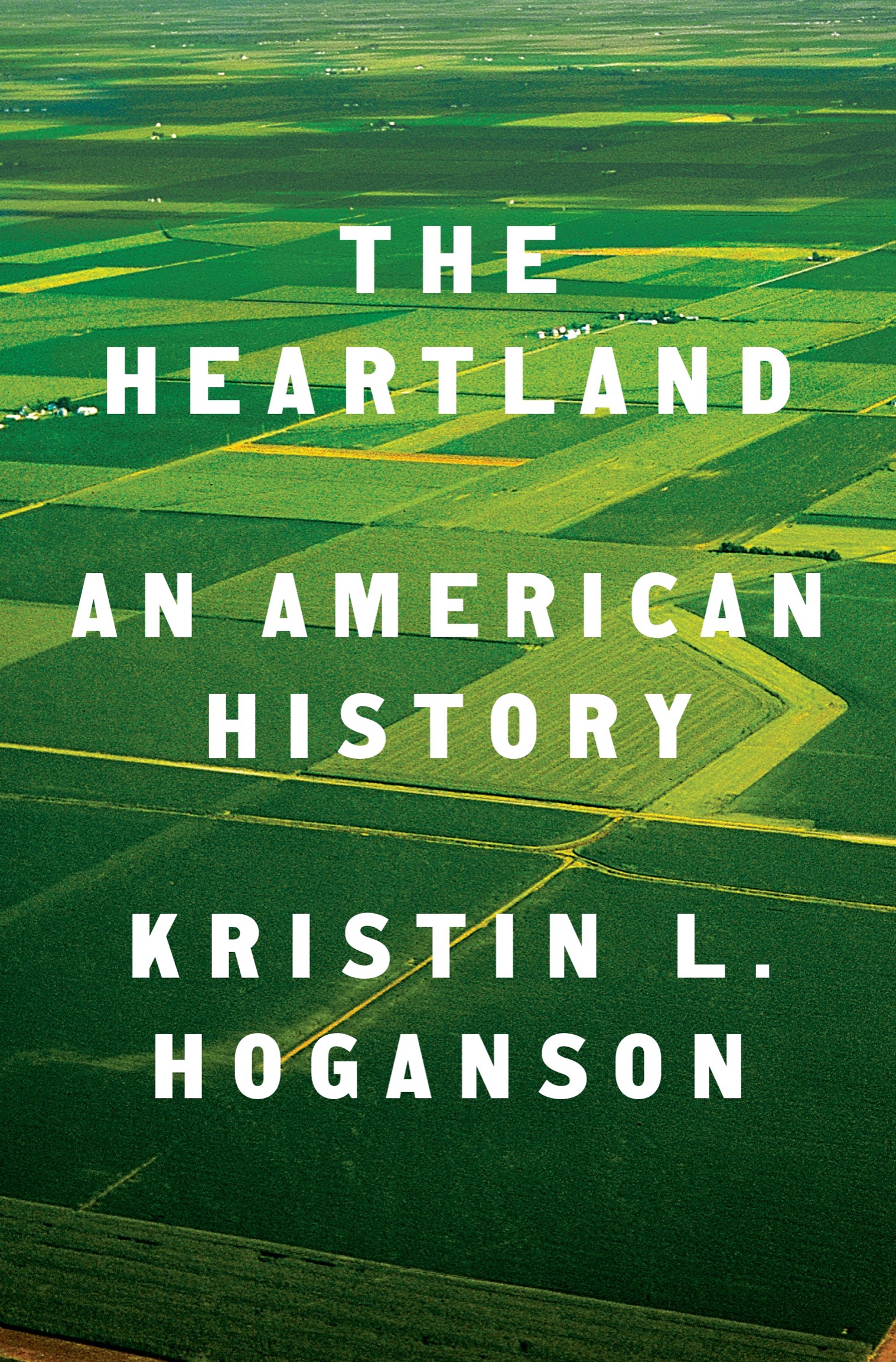 ALSO BY KRISTIN L HOGANSON American Empire at the Turn of the Twentieth - photo 1