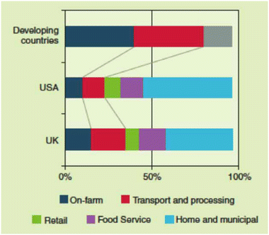 Figure 1 Make up of total food waste in developed and developing countries - photo 1