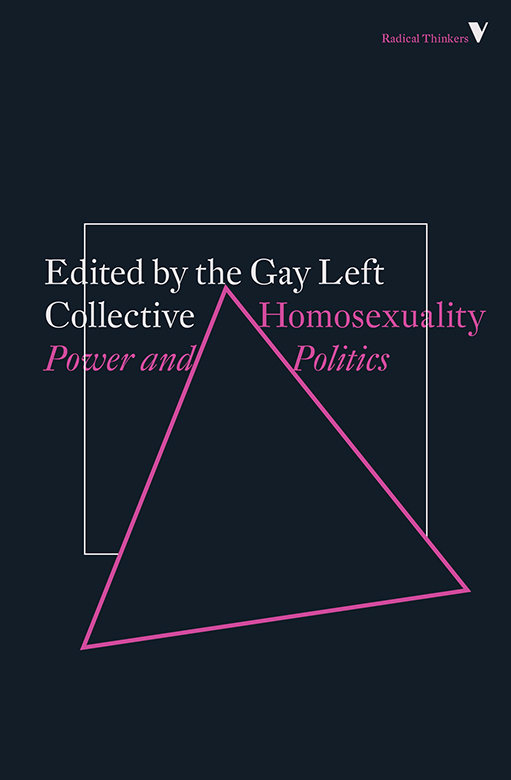 Homosexuality Power and Politics - image 1