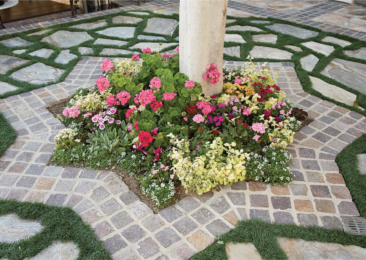 Stone pavers set in a star pattern surround a tree on this backyard patio - photo 7