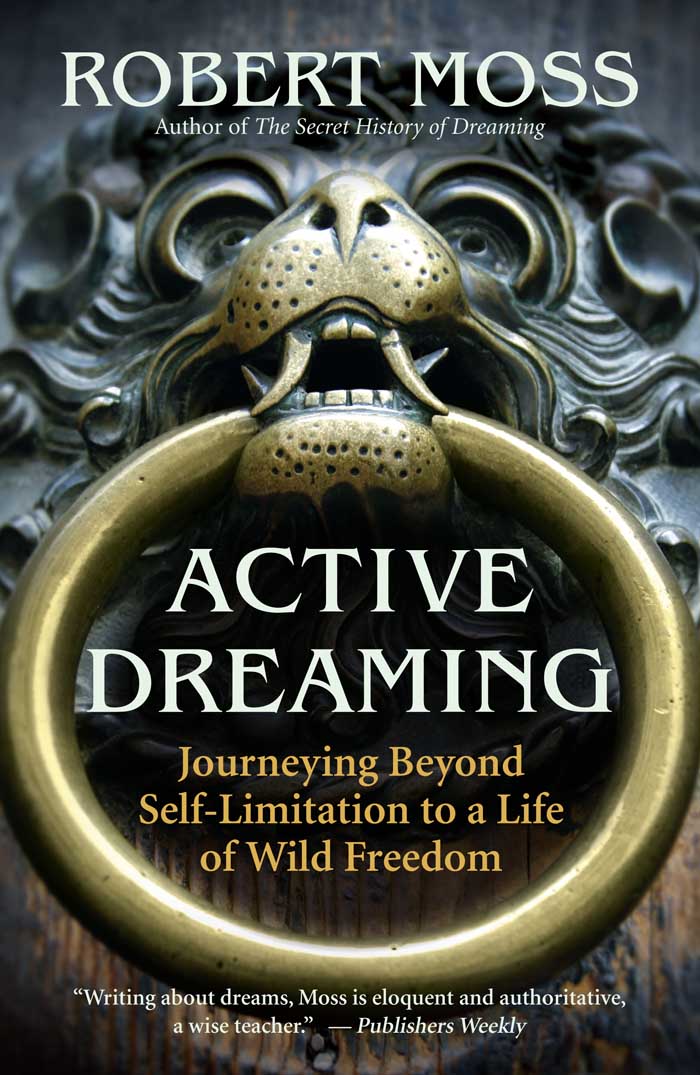 Praise for Active Dreaming Active Dreaming is a soul-nurturing - photo 1