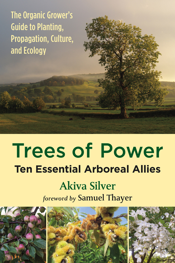 PRAISE FOR TREES OF POWER In these times of discouraging news it is - photo 1