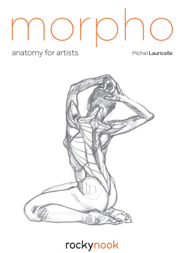 Michel Lauricella - Morpho: Anatomy for Artists