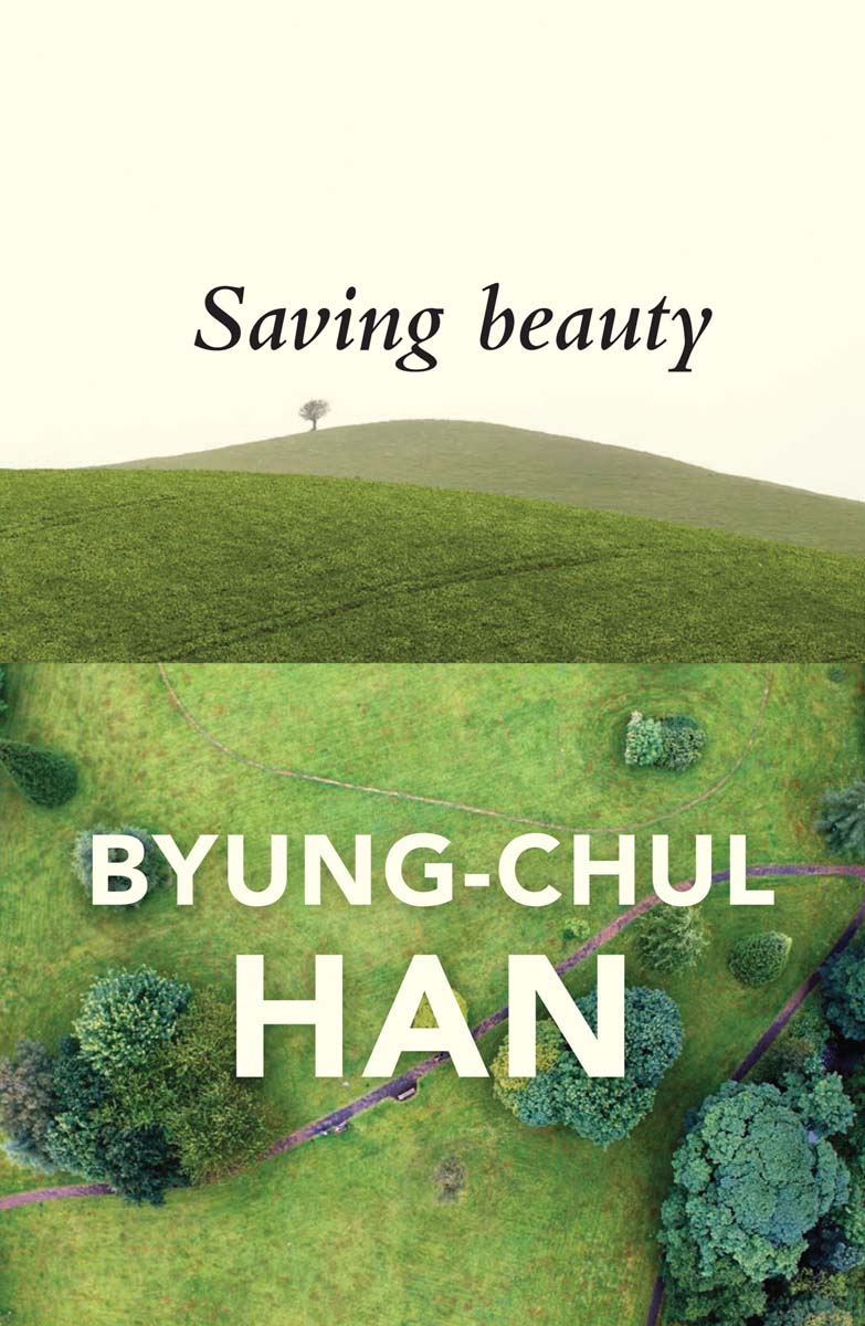 Saving Beauty Byung-Chul Han Translated by Daniel Steuer polity First - photo 1