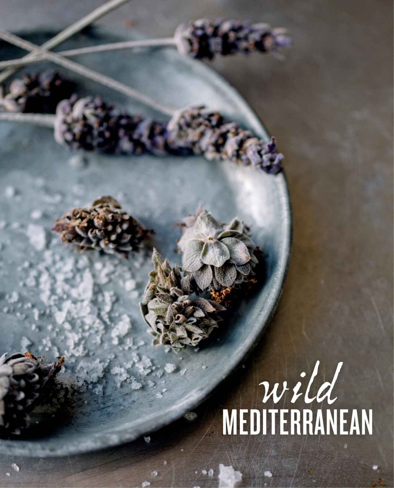 Wild Mediterranean The Age-old Science-new Plan For a Healthy Gut With Food You Can Trust - image 2