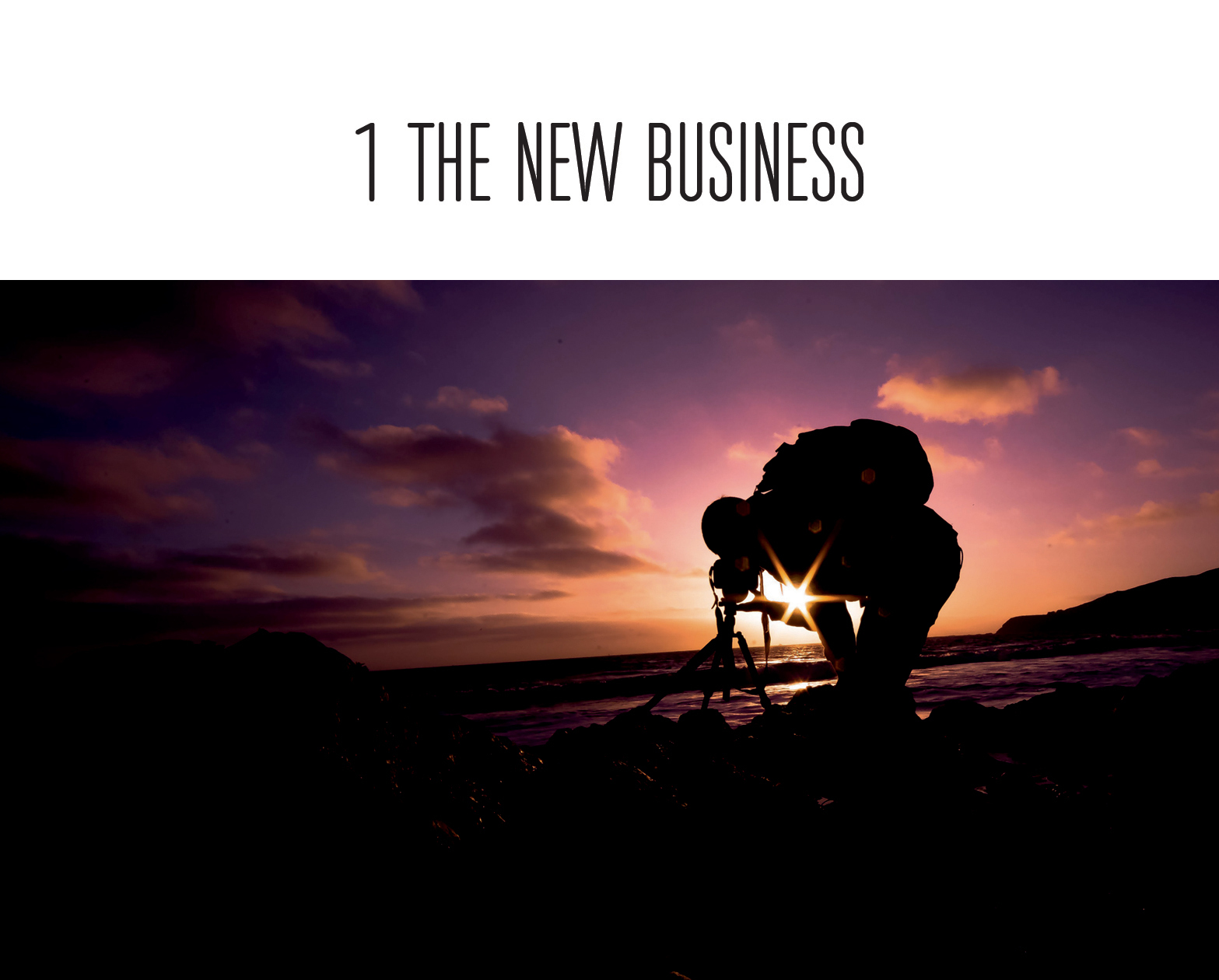 THE NEW BUSINESS INTRODUCTION T he question often debated among seasoned - photo 8