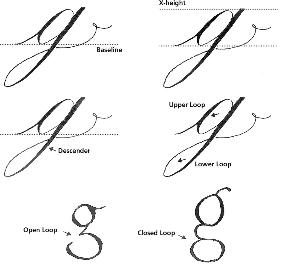 There are four key lines in calligraphy baseline x-height cap height and - photo 12