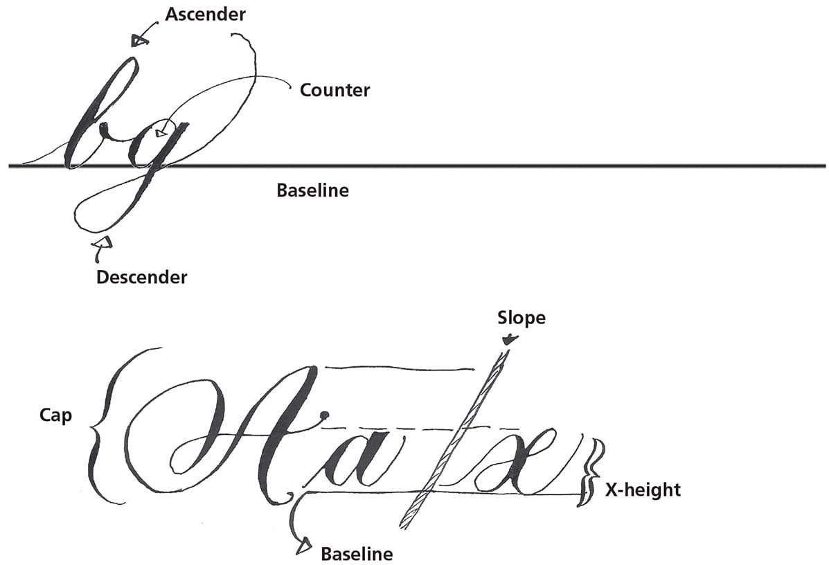 There are four key lines in calligraphy baseline x-height cap height and - photo 13