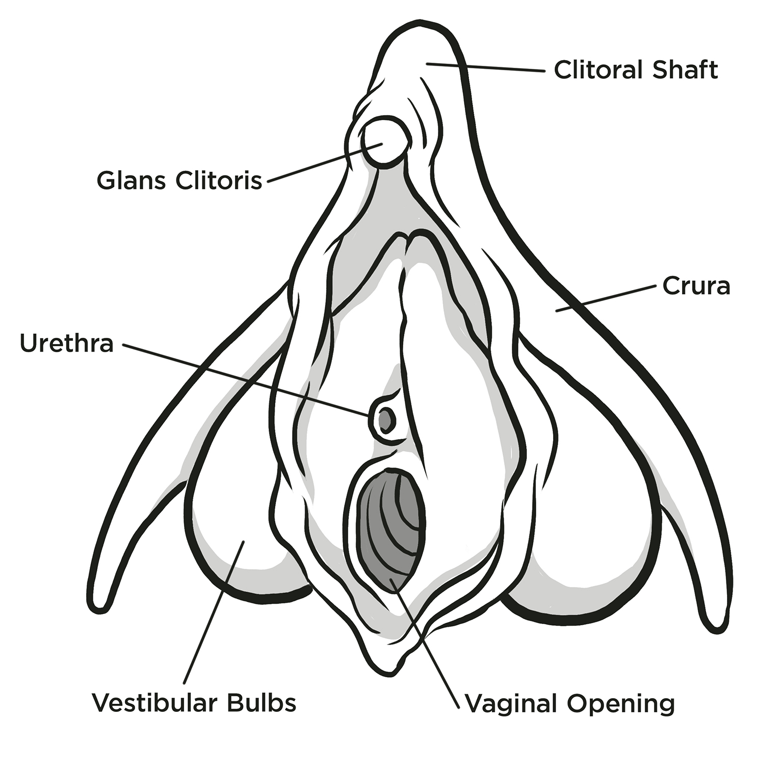 LUCKY YOU The clitoris is the only part of the human body that has one sole - photo 3