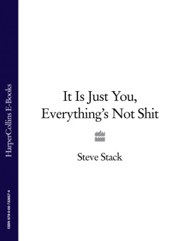 Steve Stack - It Is Just You - Everythings Not Shit