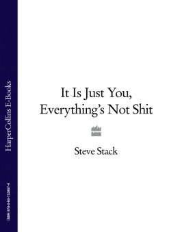 Steve Stack It Is Just You - Everythings Not Shit