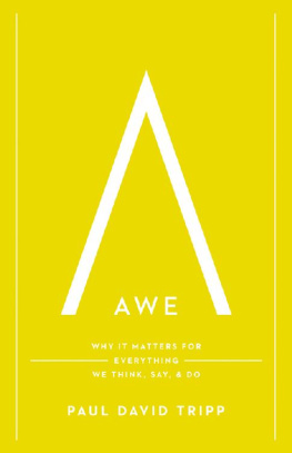 Paul David Tripp Awe: Why It Matters For Everything We Think, Say, & Do