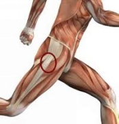 You might never even thought about your hip flexors before but when they get - photo 3