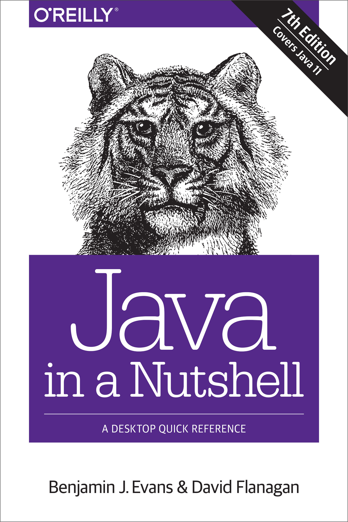 Java in a Nutshell Seventh Edition by Ben Evans and David Flanagan Copyright - photo 1