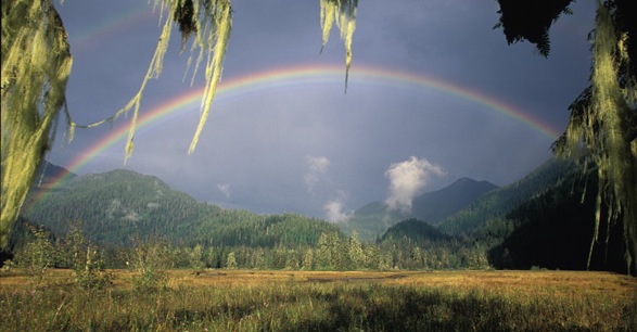 A rainbow breaks through a midsummer storm on a coastal estuary Estuaries are - photo 3