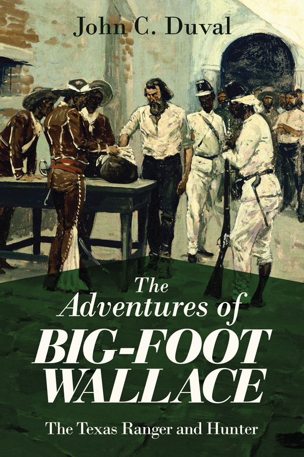 BIG FOOT WALLACEFrontispiece First published 1871 F IRST S KYHORSE - photo 1