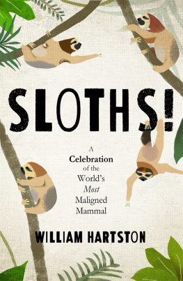 William Hartston - Sloths! A Celebration of the World’s Most Maligned Mammal