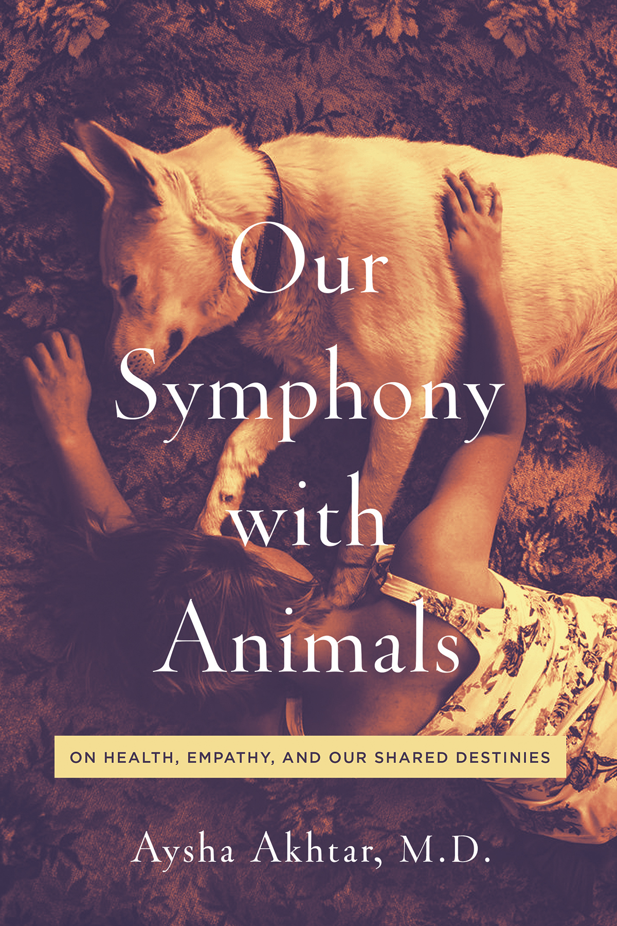 Our Symphony with Animals On Health Empathy and Our Shared Destinies - image 1