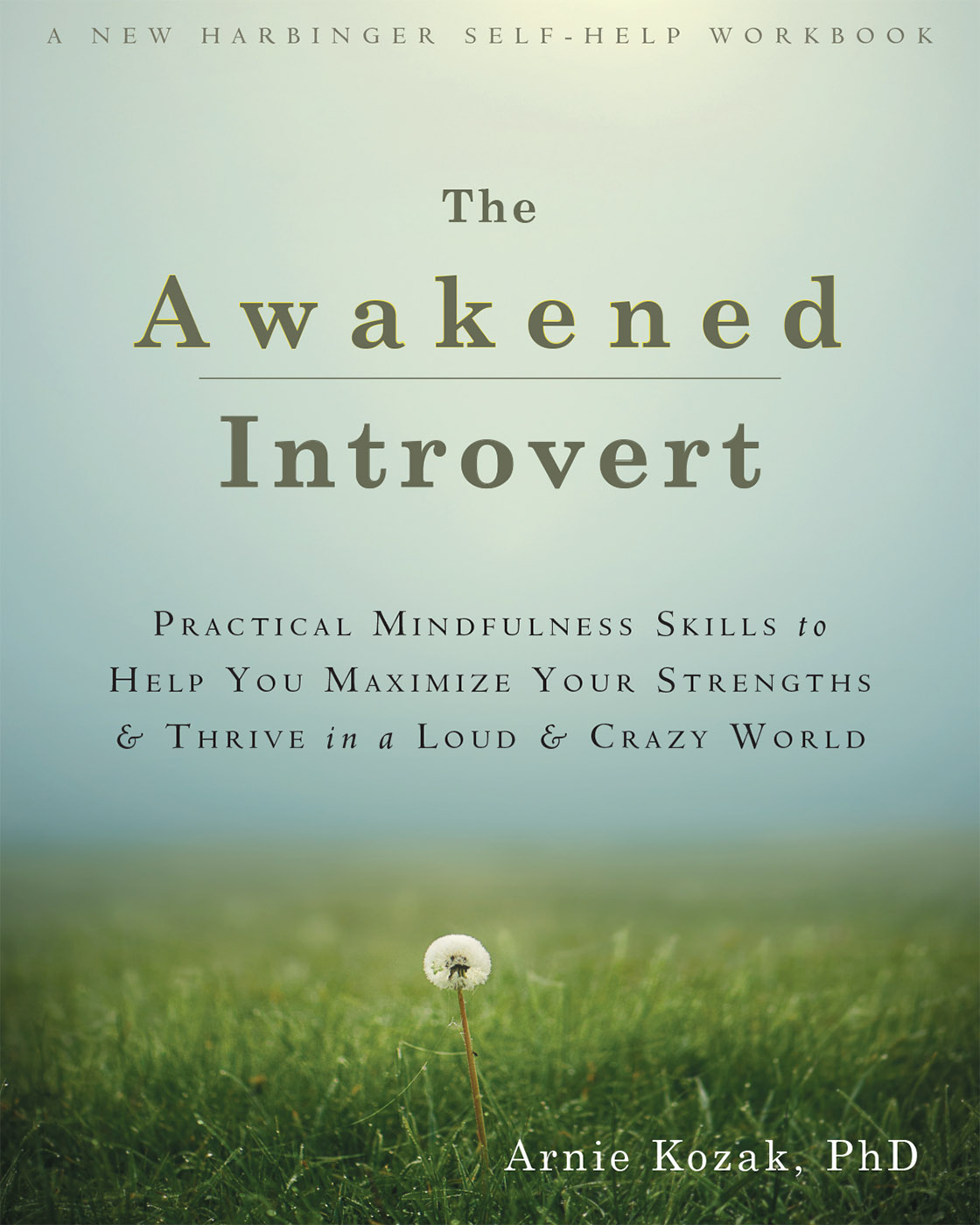 Mindfulness is made for introverts In The Awakened Introvert Arnie Kozak - photo 2