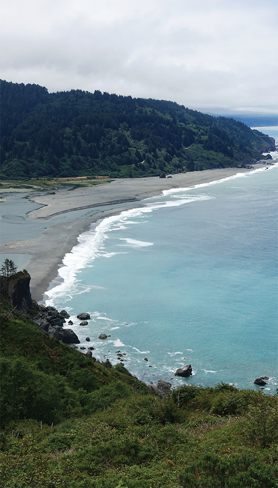 Mouth of the Klamath River from the trailhead for HIKES AT A GLANCE - photo 8