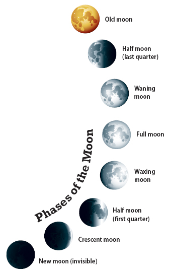 The light of the Moon is really light from the Sun which reflects off the - photo 11