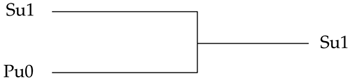 In the example shown supply strength is greater than pull Hence Su1 wins - photo 3