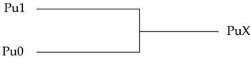 A3 Advanced Net Types We discussed resolution of signal contention by using - photo 4