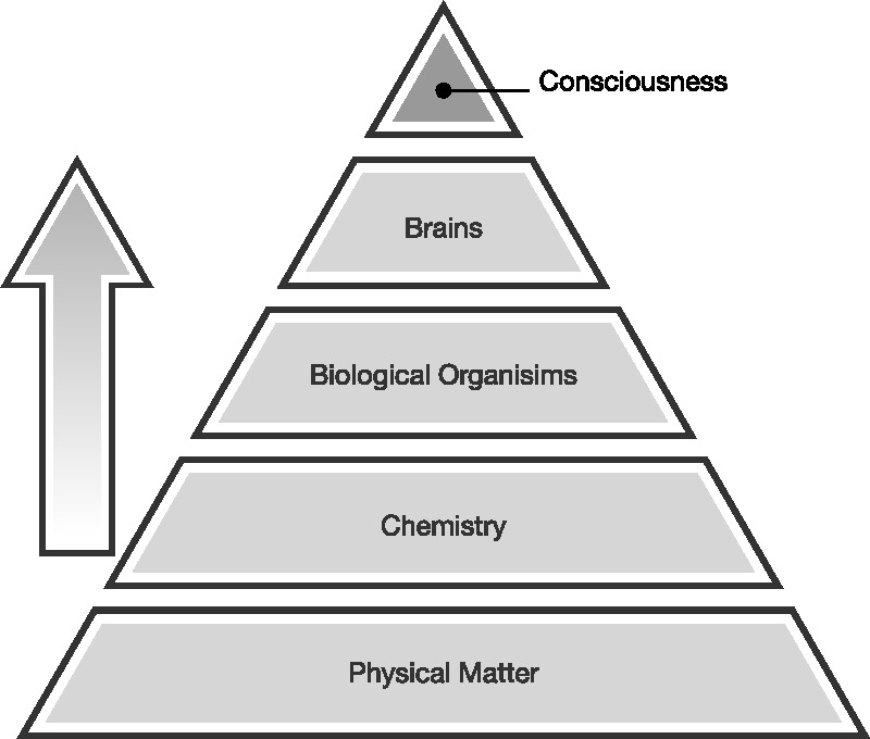 Figure A Todays mainstream scientific view known as materialism is that - photo 2