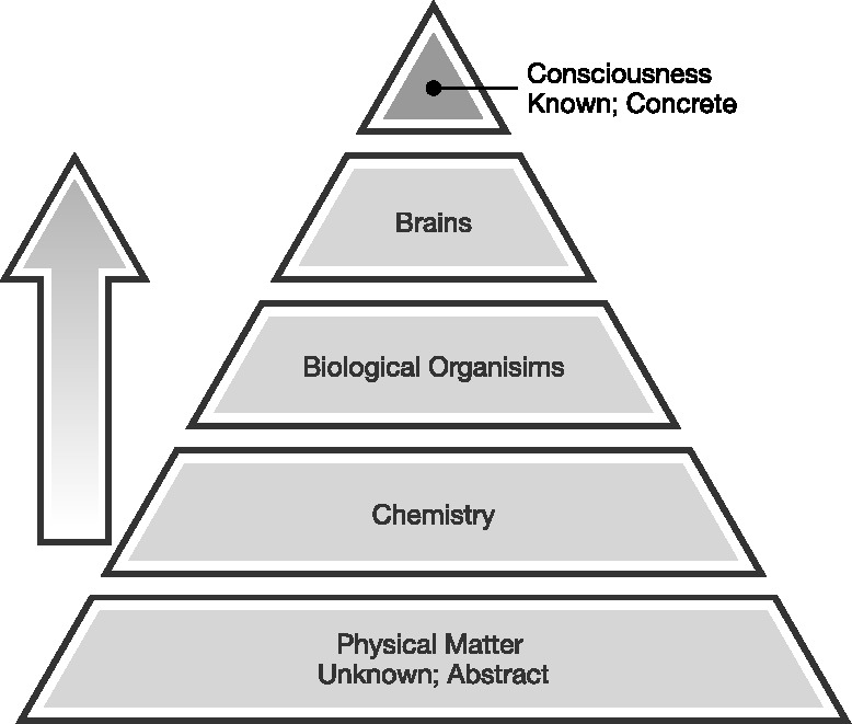 Figure B Materialism purports that matters existence before consciousness an - photo 3