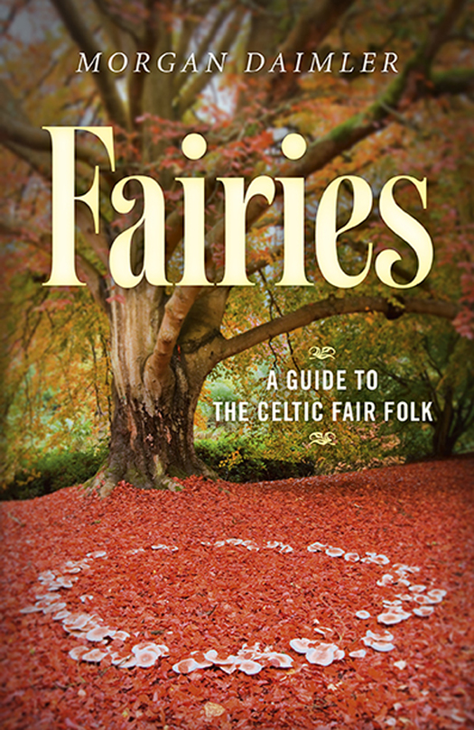 WHAT PEOPLE ARE SAYING ABOUT Fairies In my opinion this is the best book on - photo 1