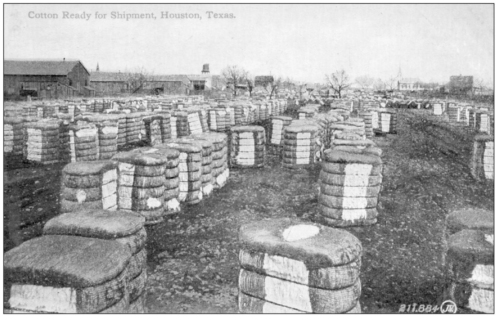 Prior to oil cotton and timber were the lifeblood of Houstons commerce The - photo 6