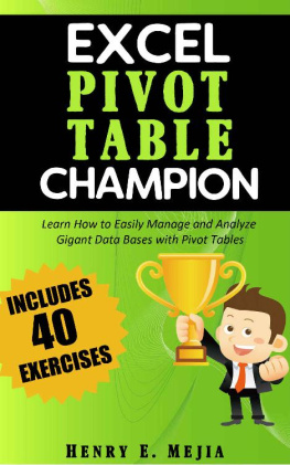 Henry E. Mejia - Excel Pivot Table Champion