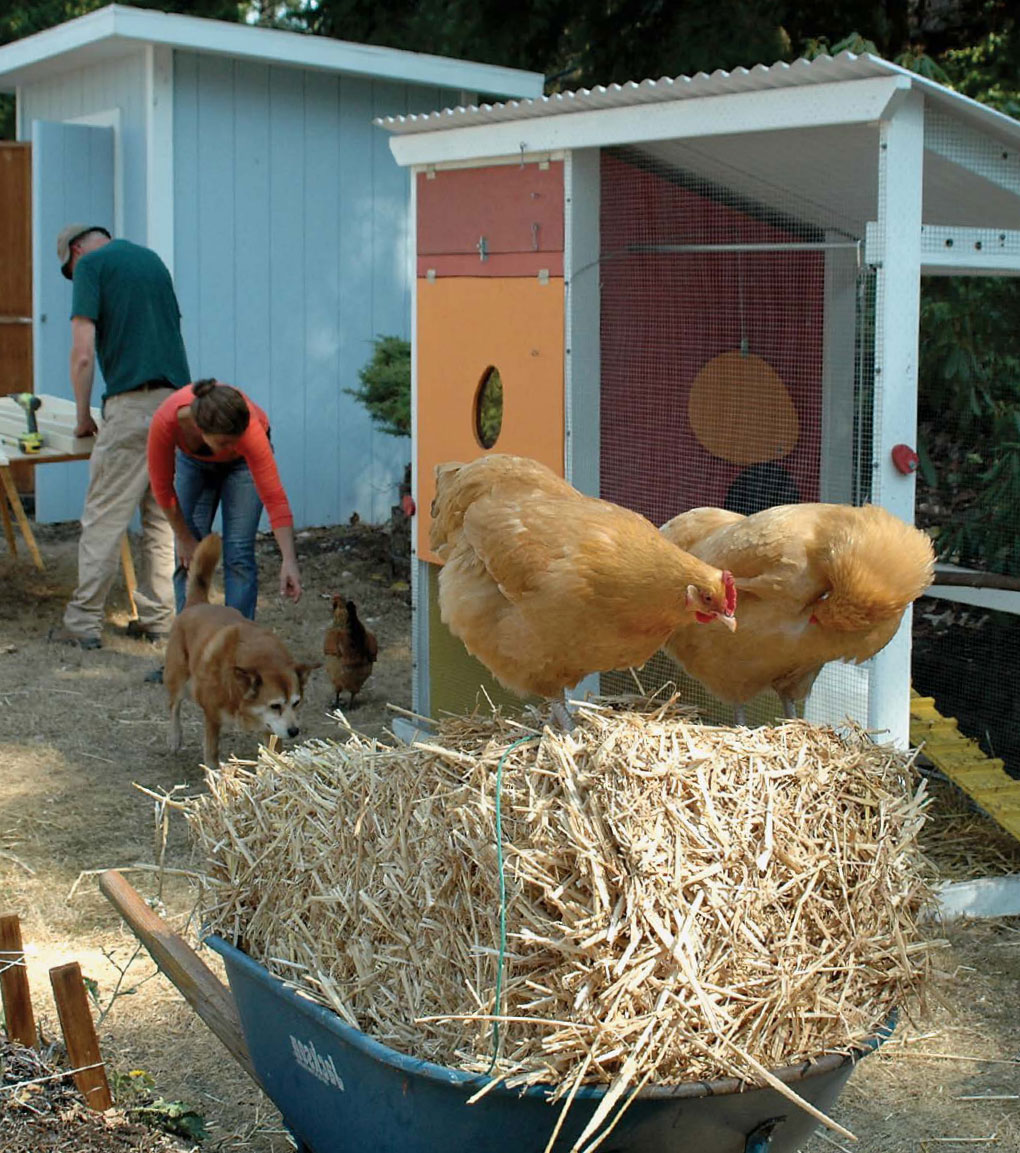 DAVID TOHT has more than 60 how-to books to his credit He considers harvesting - photo 3