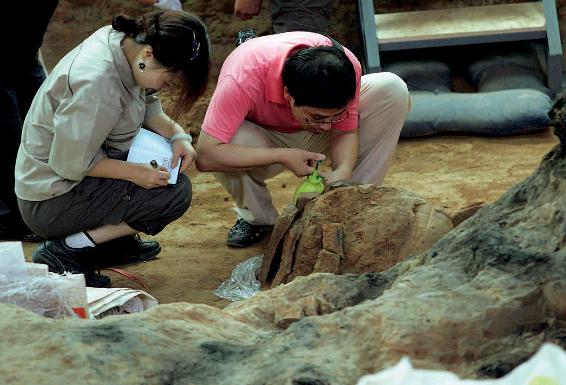 Archaeologists unearth more terracotta warriors in 2009 Like during past - photo 4