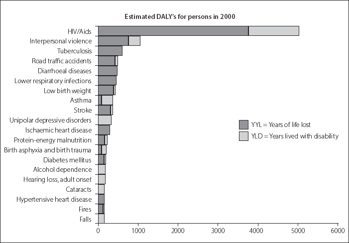 Figure 12 The burden of disease in South Africa Source Bradshaw D Norman R - photo 2