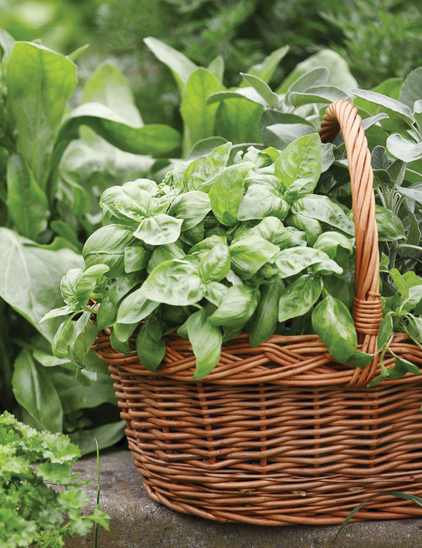 A wicker basket can be a good place to house potted herbs Introduction Like - photo 6