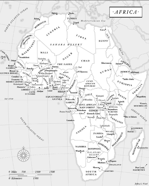 Introduction Africa eludes us it is so clearly outlined on the map and yet so - photo 4