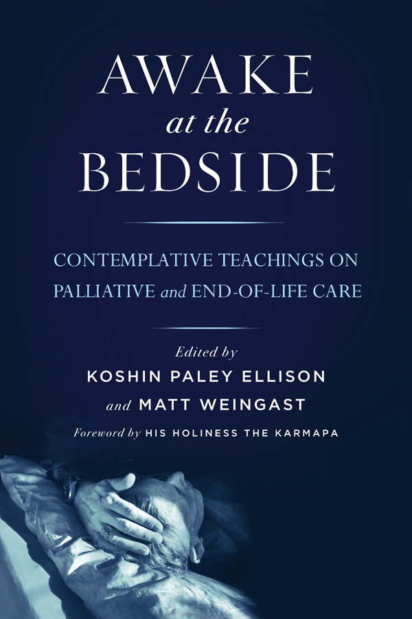 Praise for Awake at the Bedside Marvelous A compilation of essential - photo 1