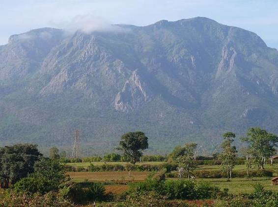 Nilgiri Hills from Masinangudi TO MISS ELIZABETH STISTED This little work - photo 13