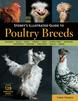 Carol Ekarius - Storey’s Illustrated Guide to Poultry Breeds