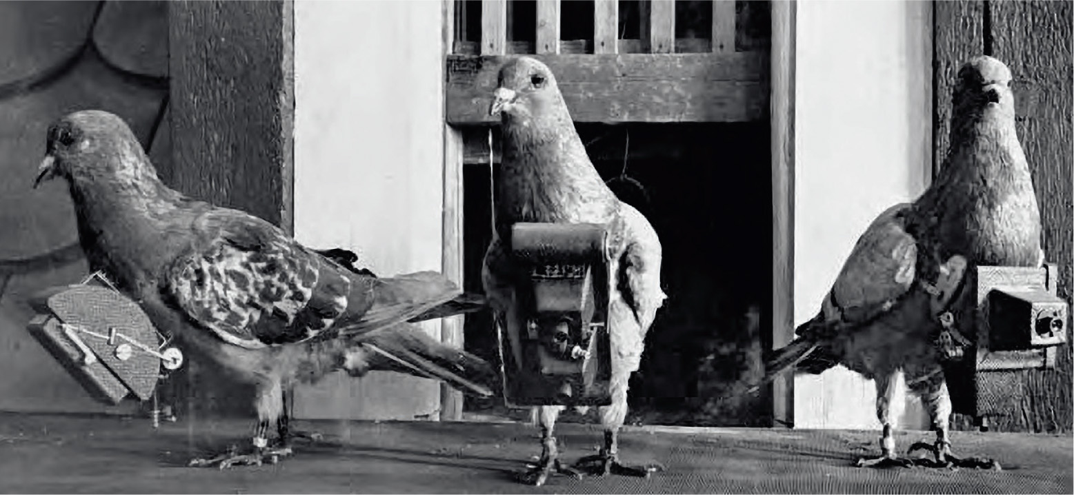 Pigeons were in the vanguard of the first Earth photographers Julius - photo 3