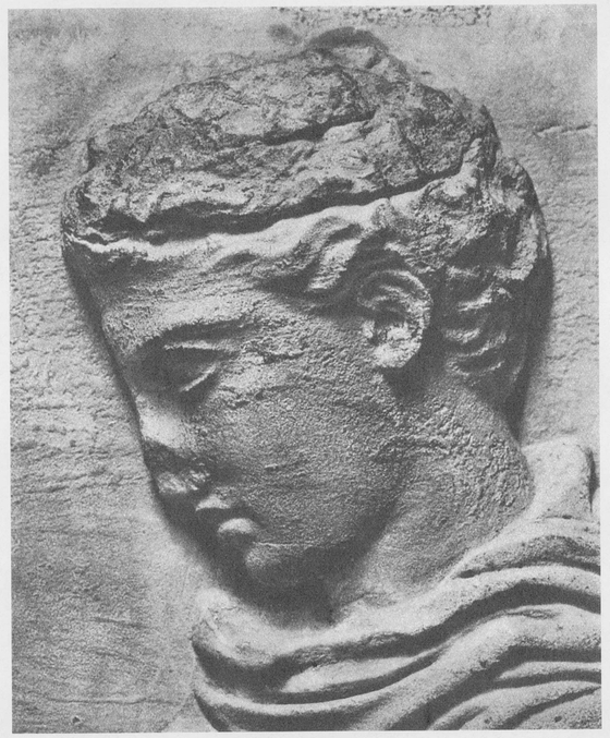 14 Head of a young man north frieze of the Parthenon Athens Acropolis - photo 15